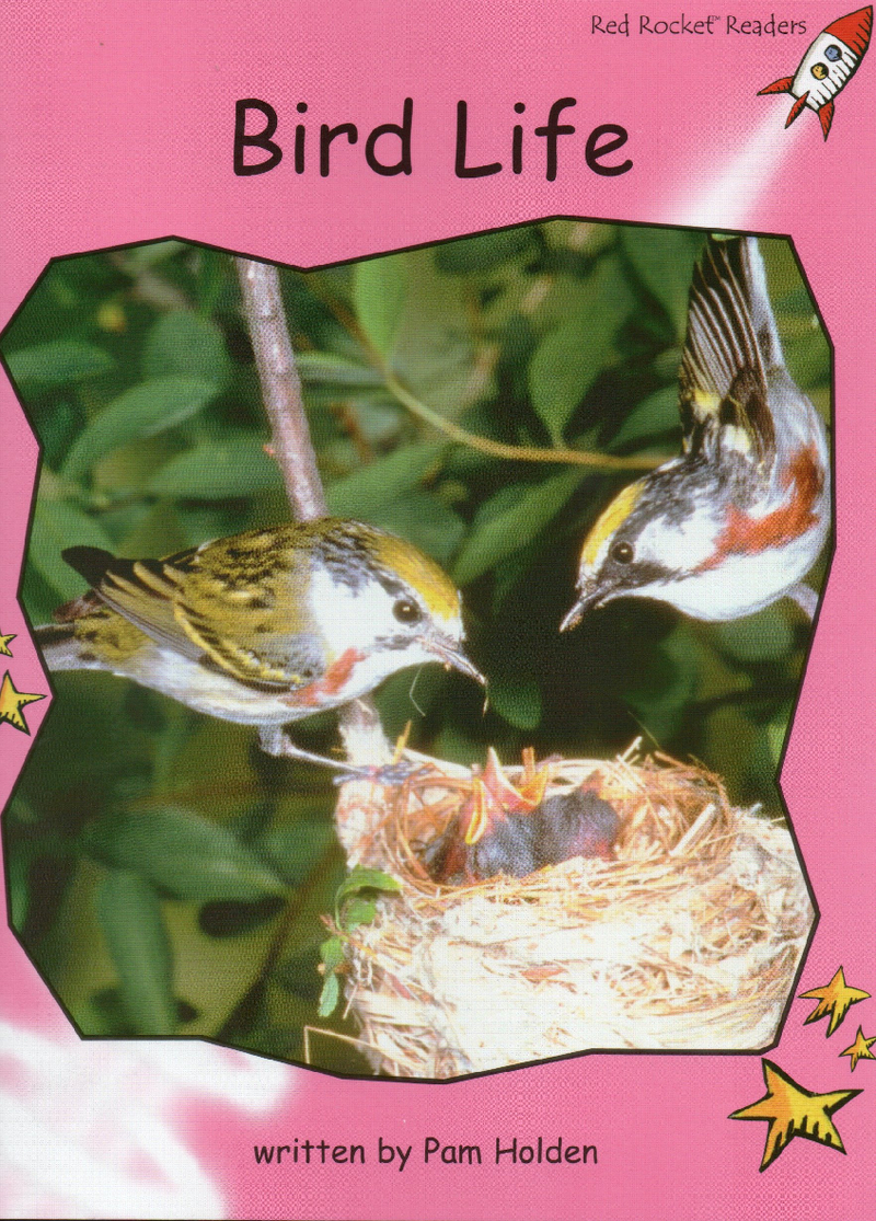 bird life