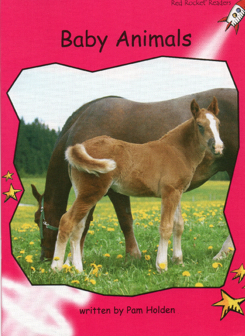 baby animals