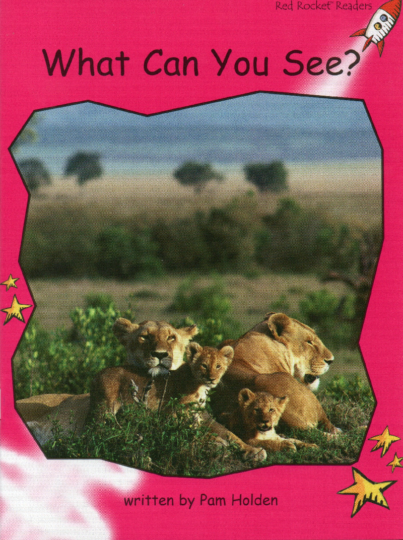 what can you see