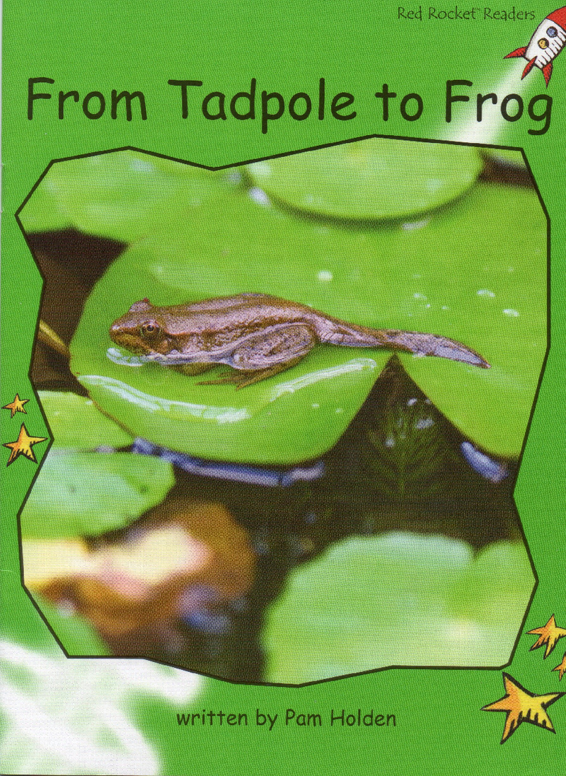 from tadpole to frog