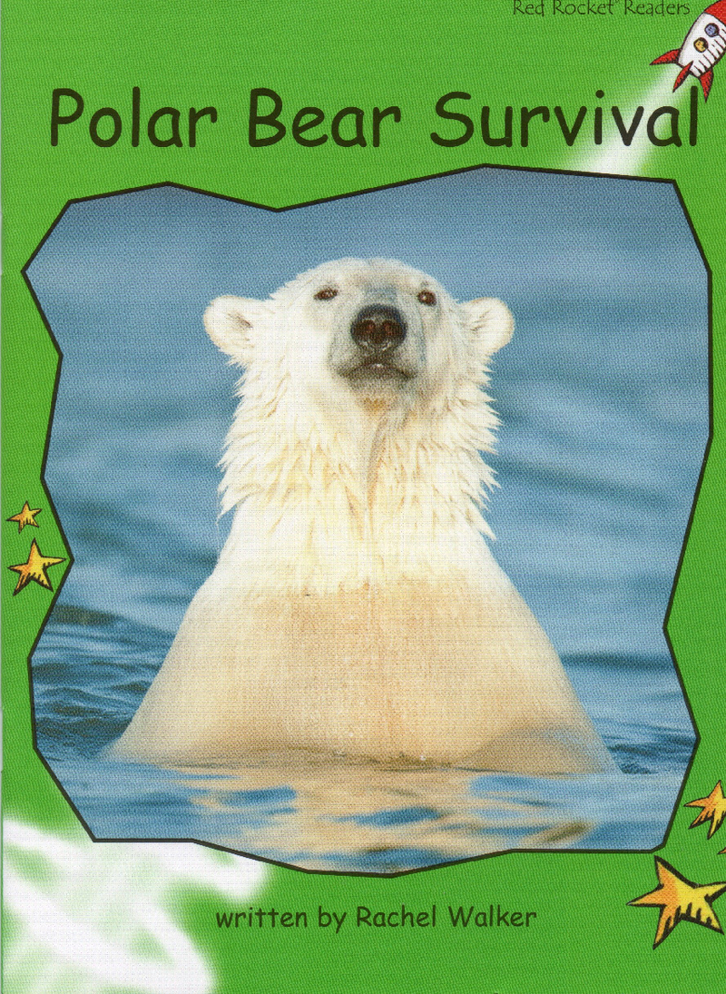 polar bear survival