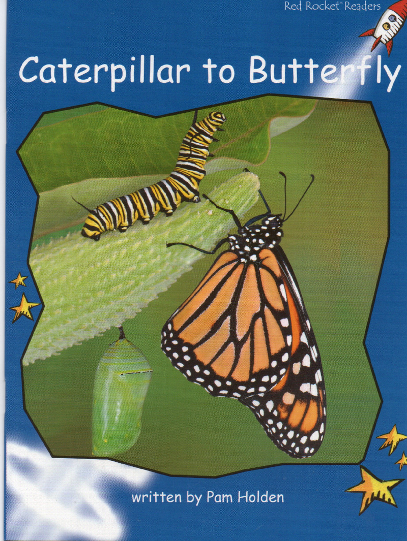 caterpillar to butterfly