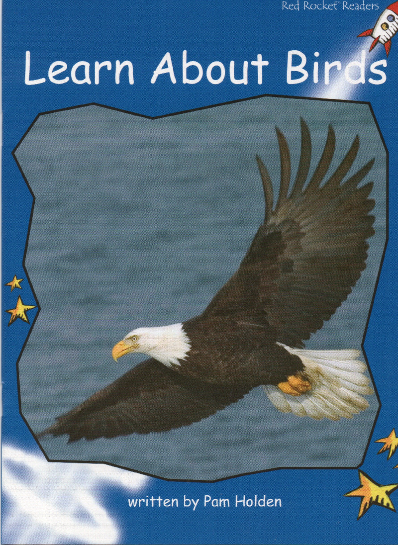 learn about birds