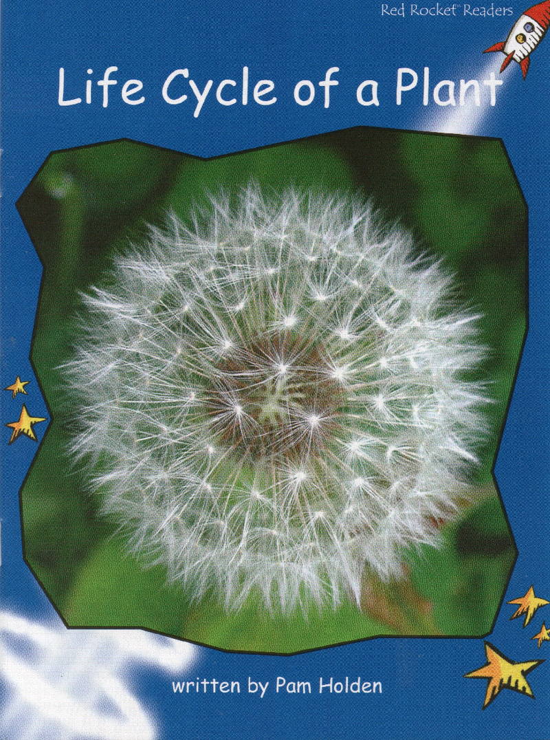 life cycle of a  plant