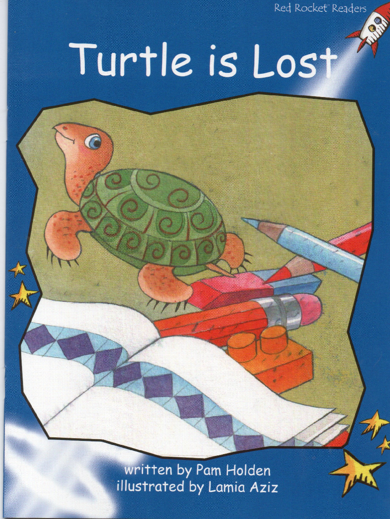 turtle is lost