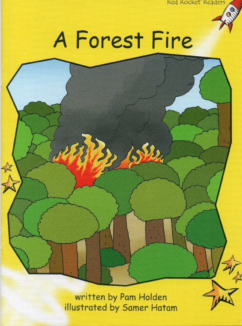 a forest fire