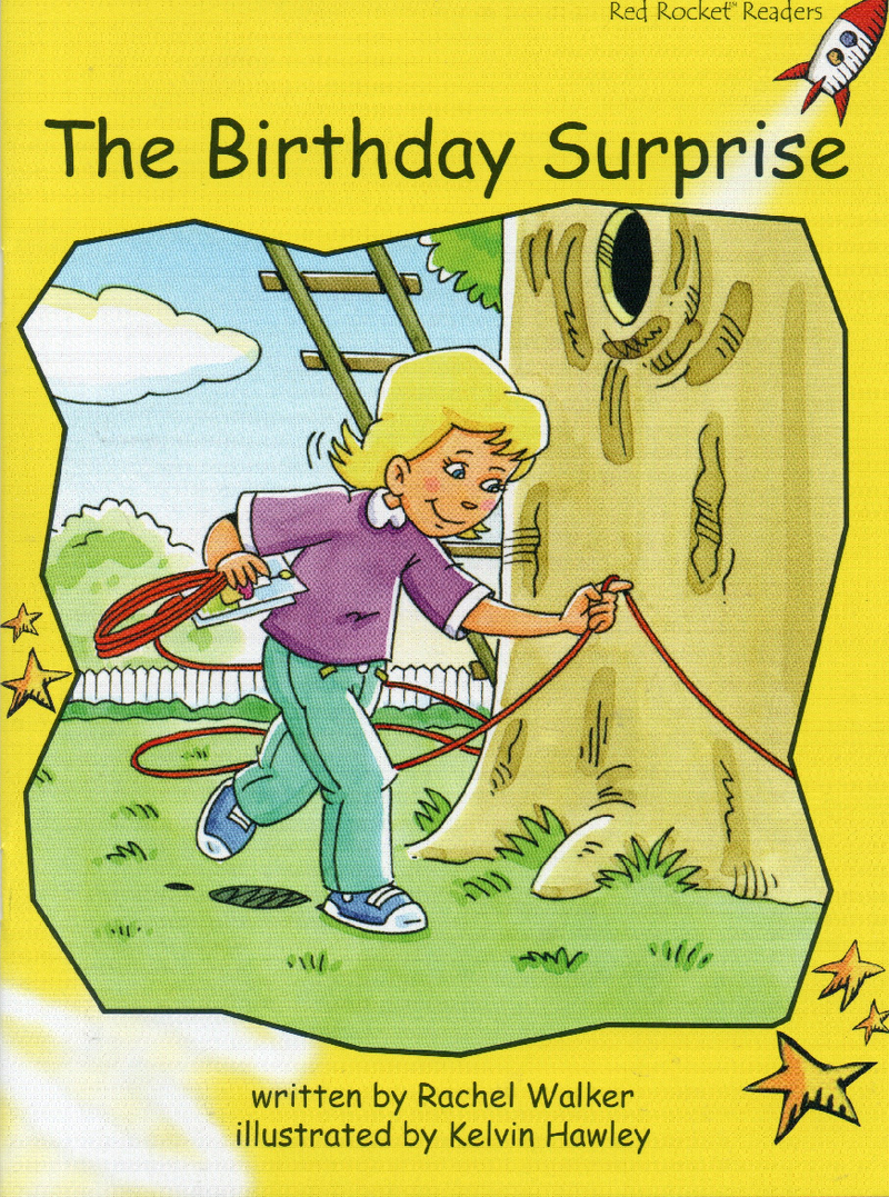 the birthday surprise