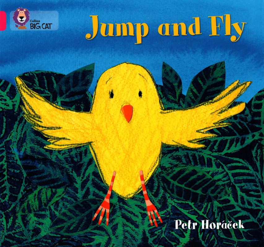 Jump and fly