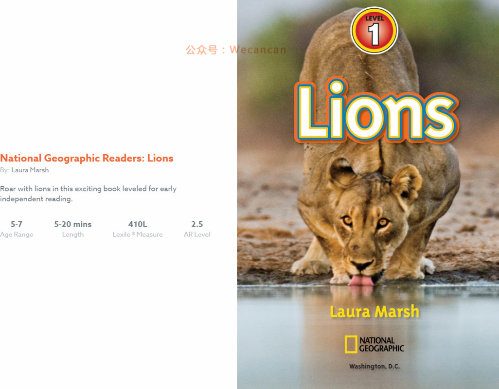 Lions