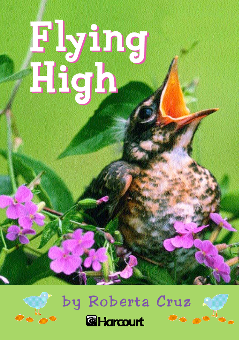 Flying High NO AUDIO