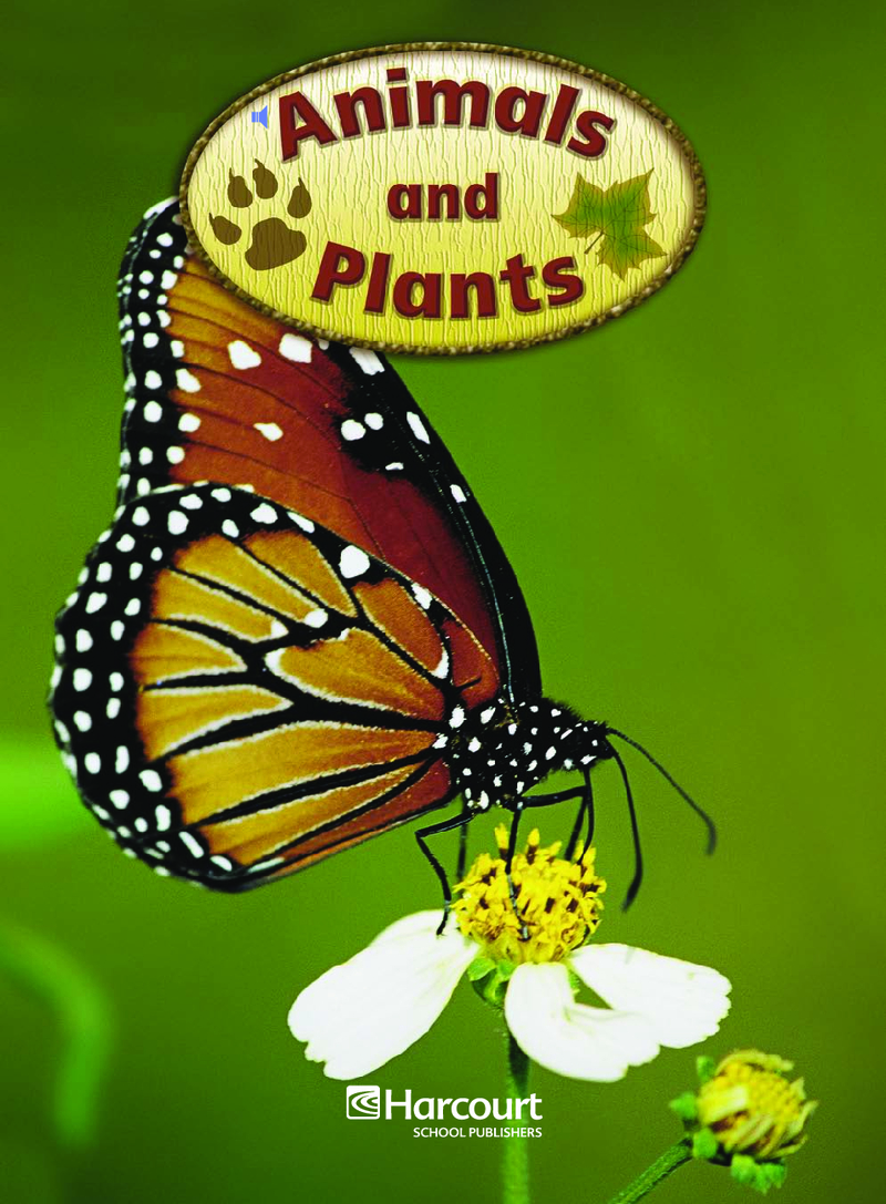 Animals and Plants