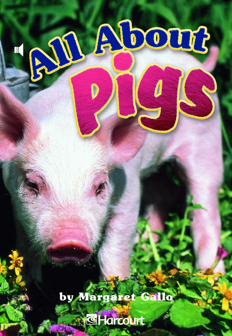 All About Pigs