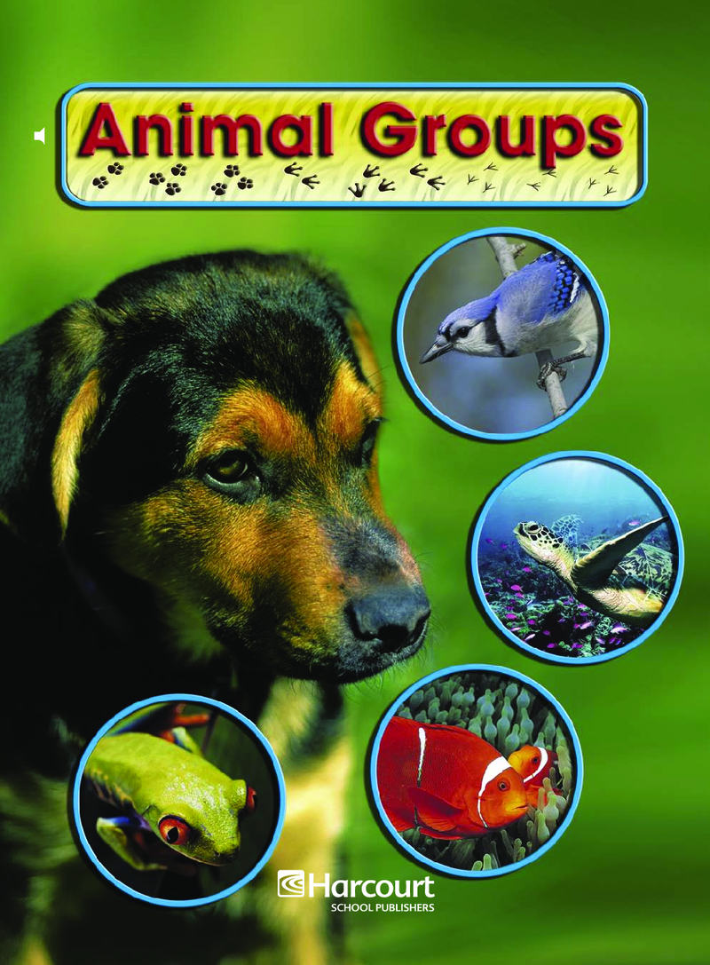 Animal Groups