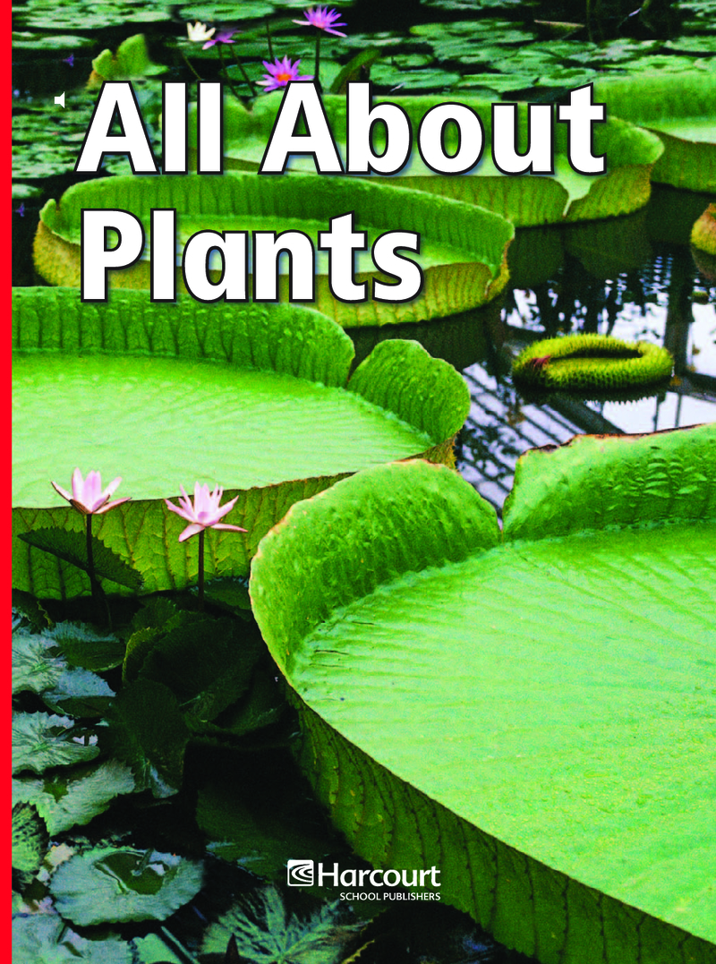 All About Plants