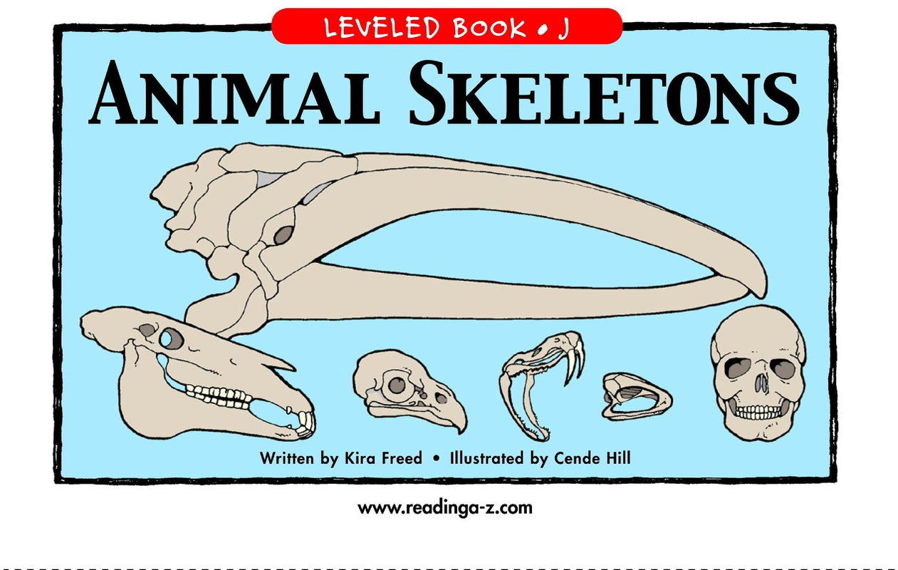 Animal Skeletons