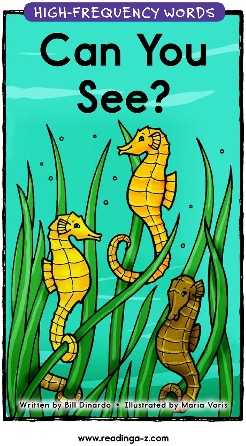 Can You See