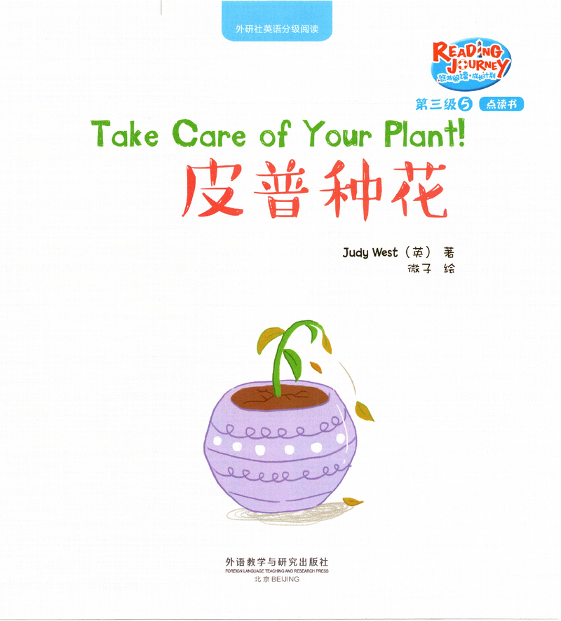 皮普种花