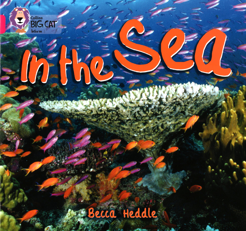 In The Sea