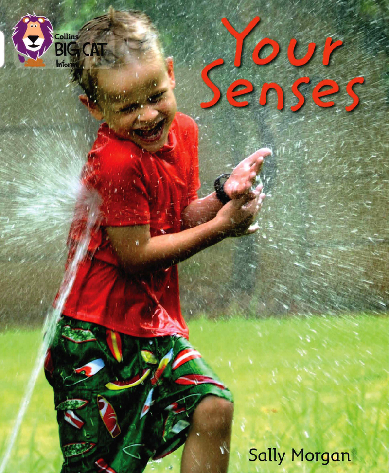 Your Senses