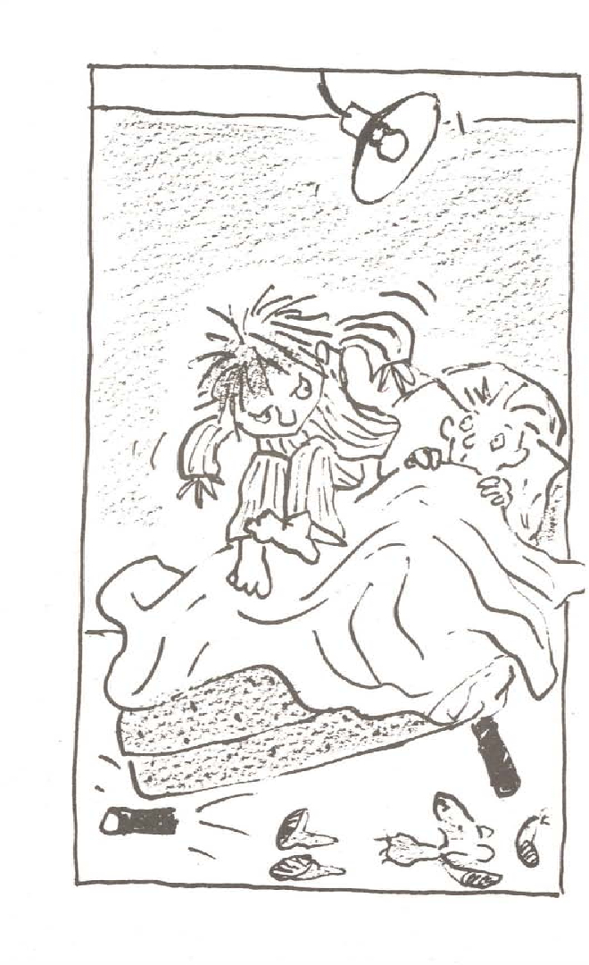 Horrid Henry's Sleepover