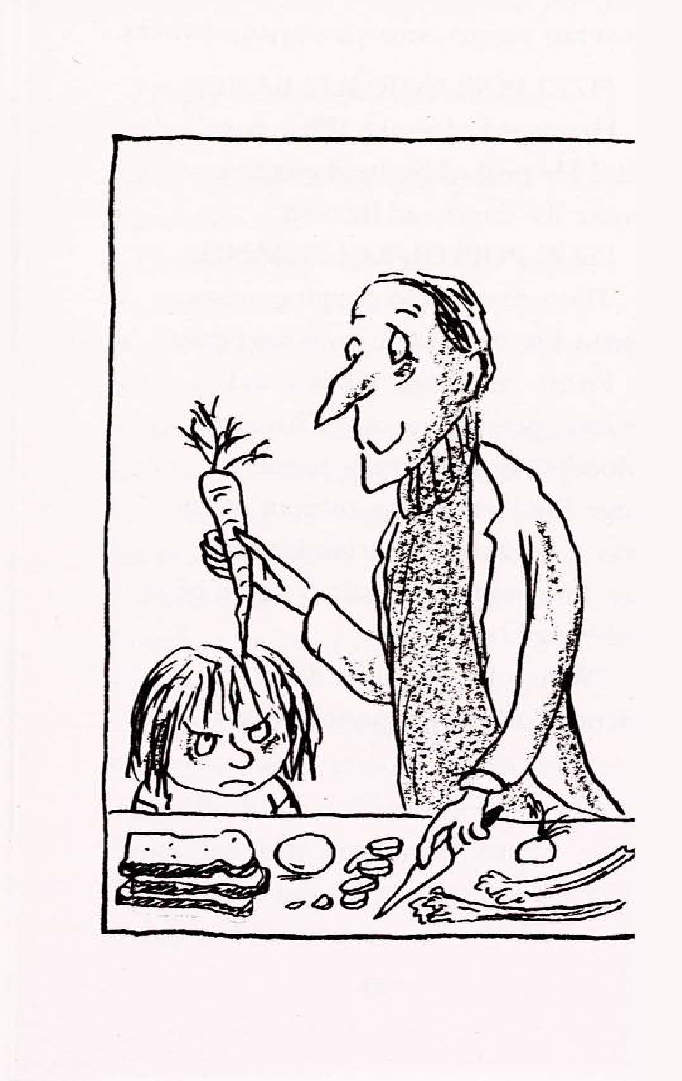 Horrid Henry's School Trip