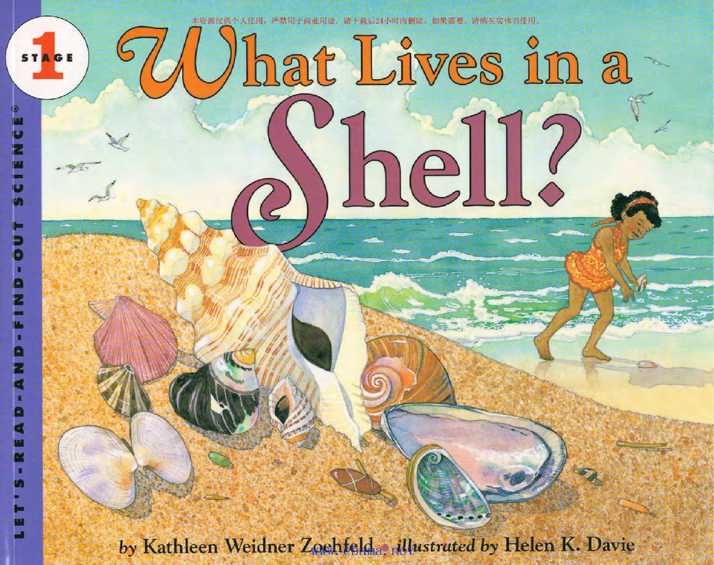 1-26_What_Lives_in_a_Shell-谁住在壳里