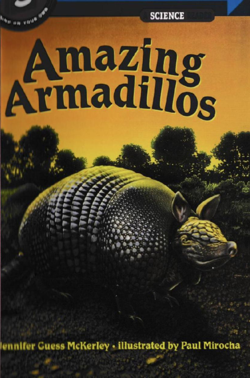 Amazing Armadillos