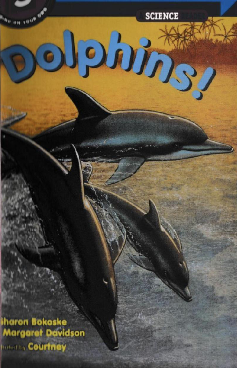 Dolphins