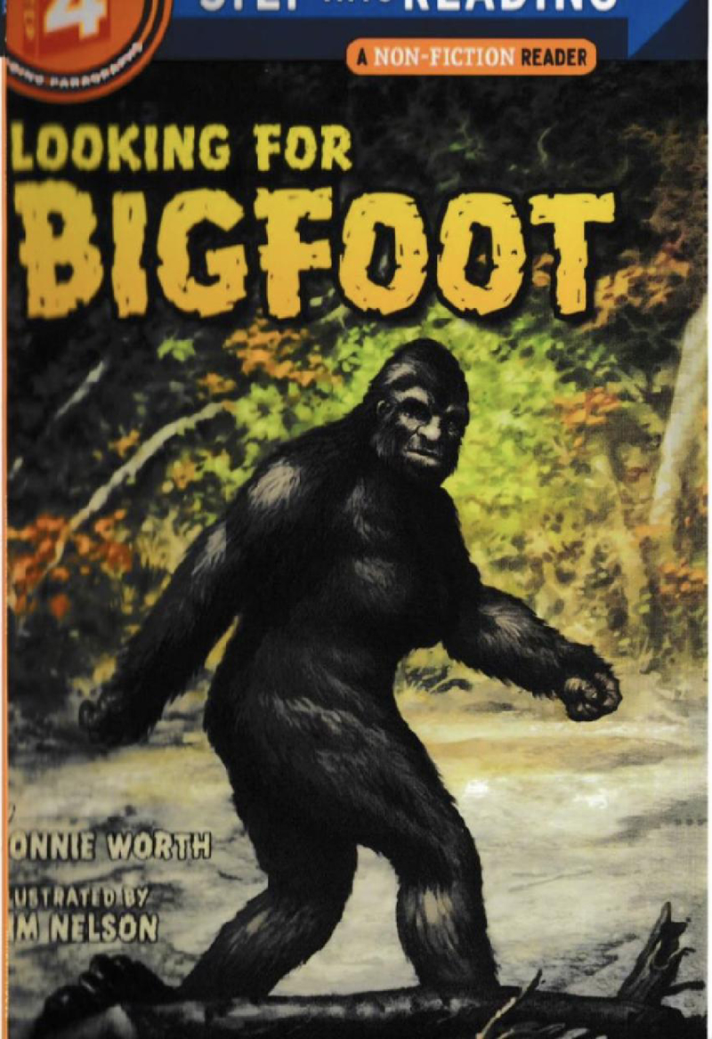 LOOKING FOR BIGFOOT