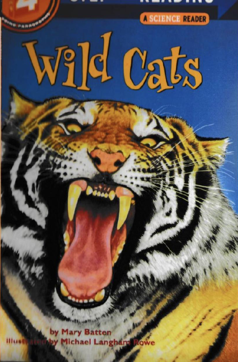 Wild Cats
