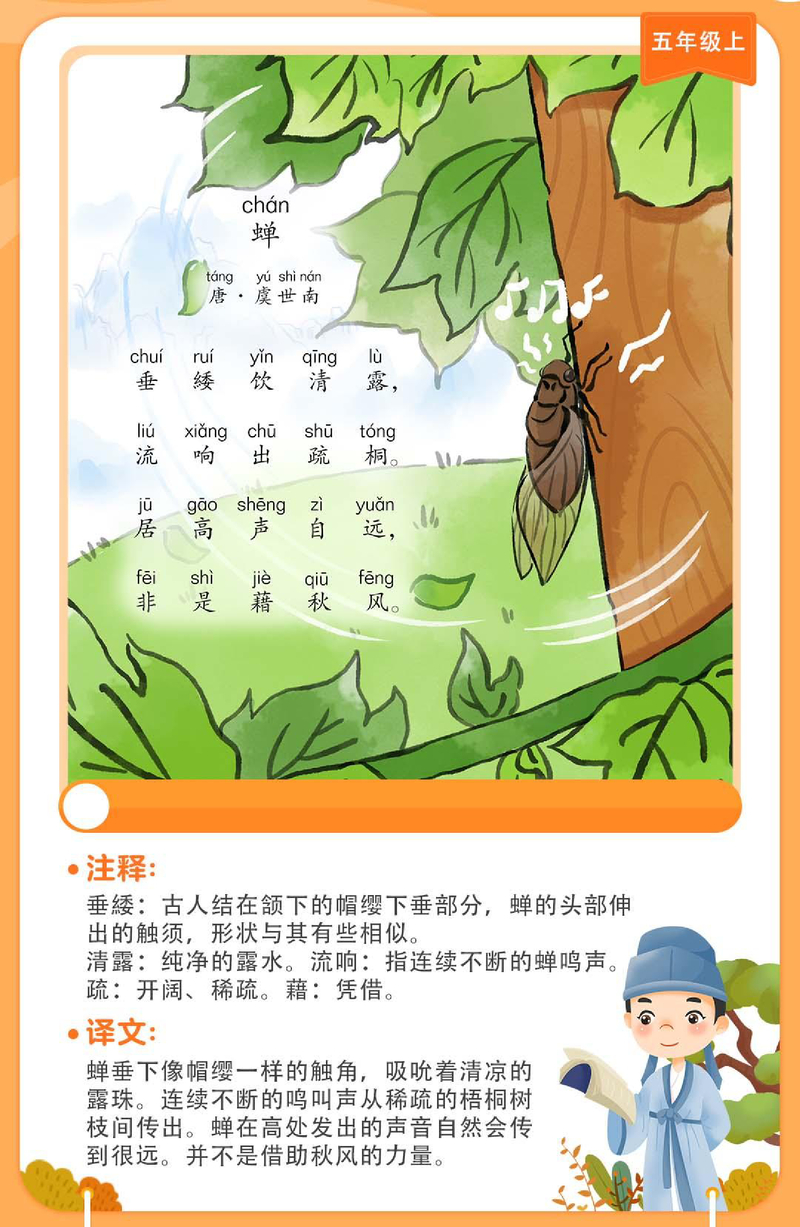 蝉
