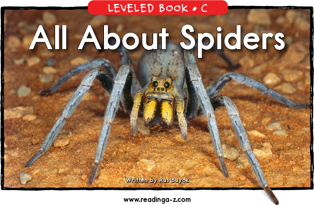 All About Spiders