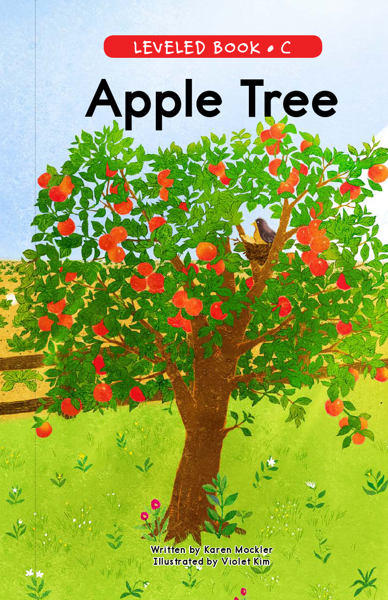 Apple Tree