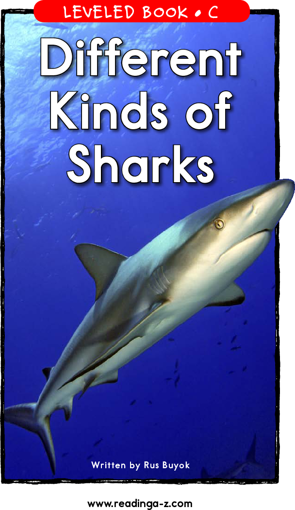 Different  Kinds of  Sharks