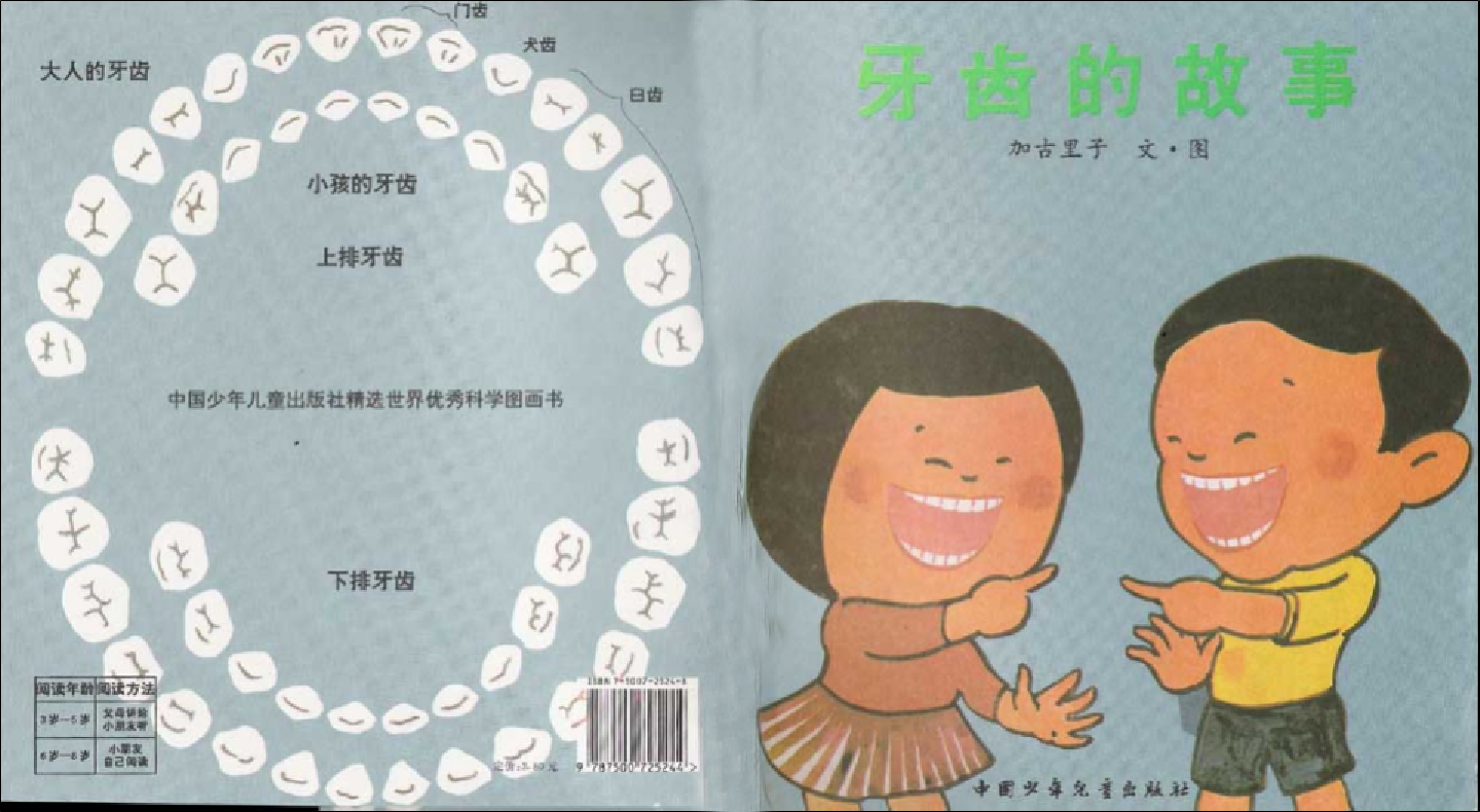 牙齿的故事