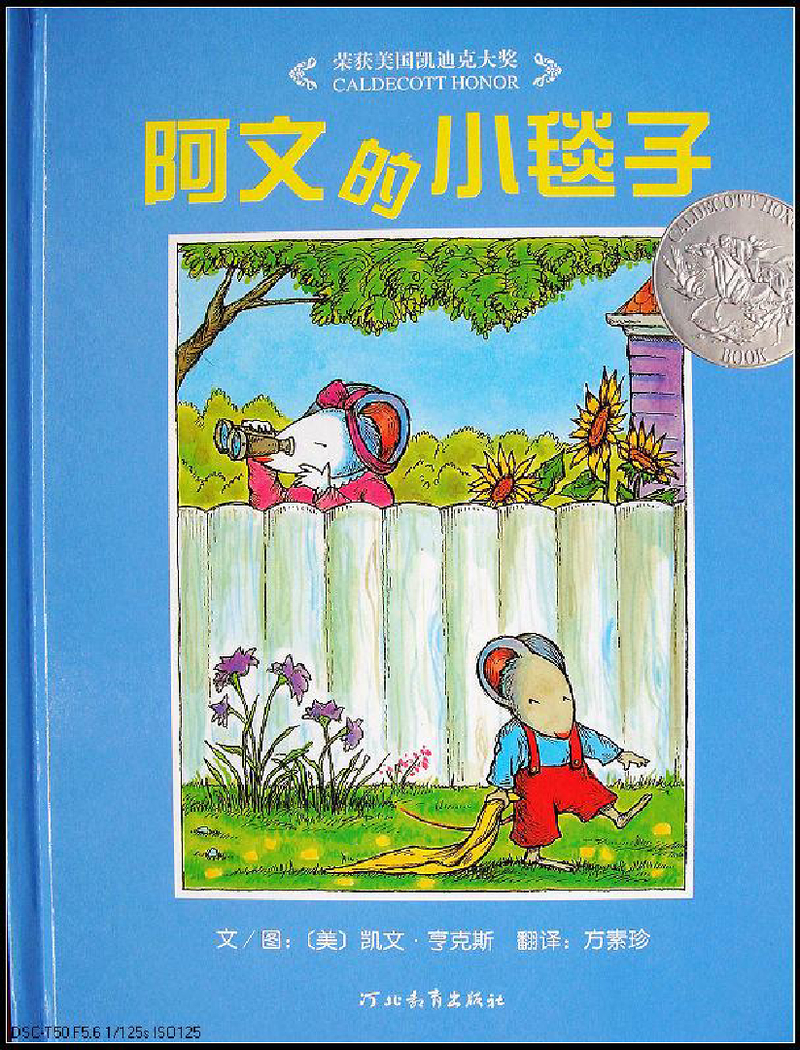 阿文的小毯子