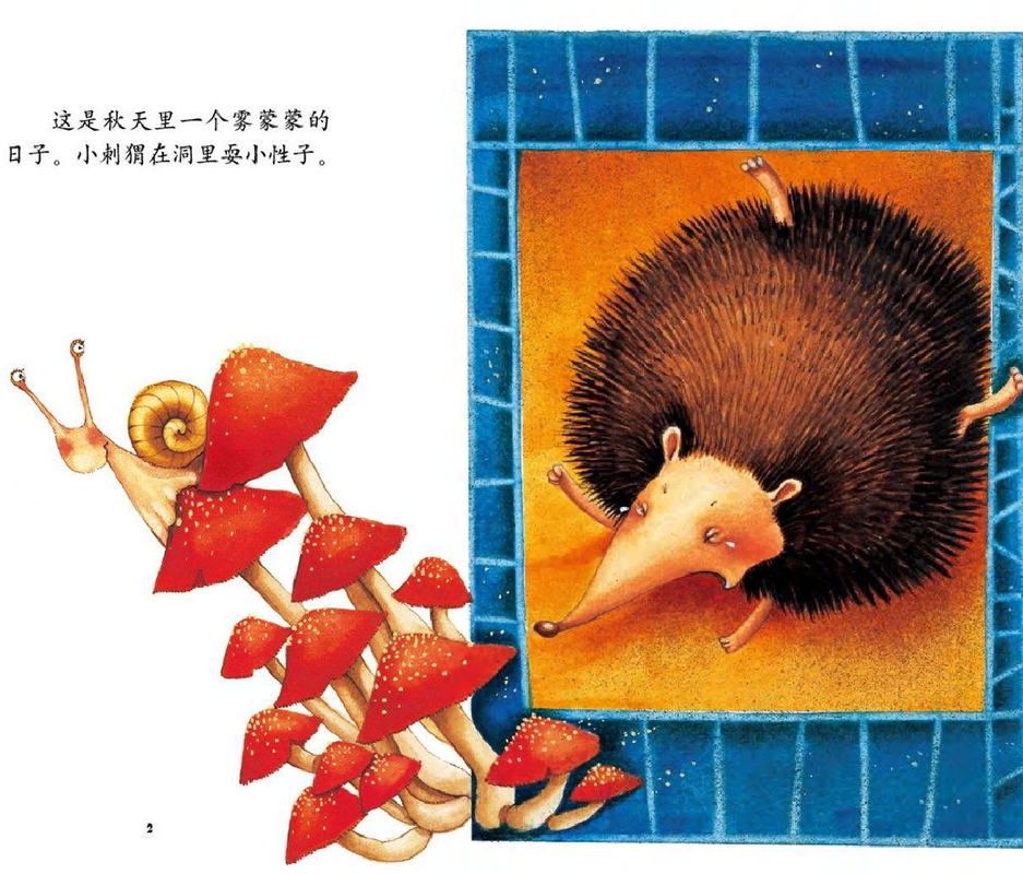 不愿冬眠的小刺猬