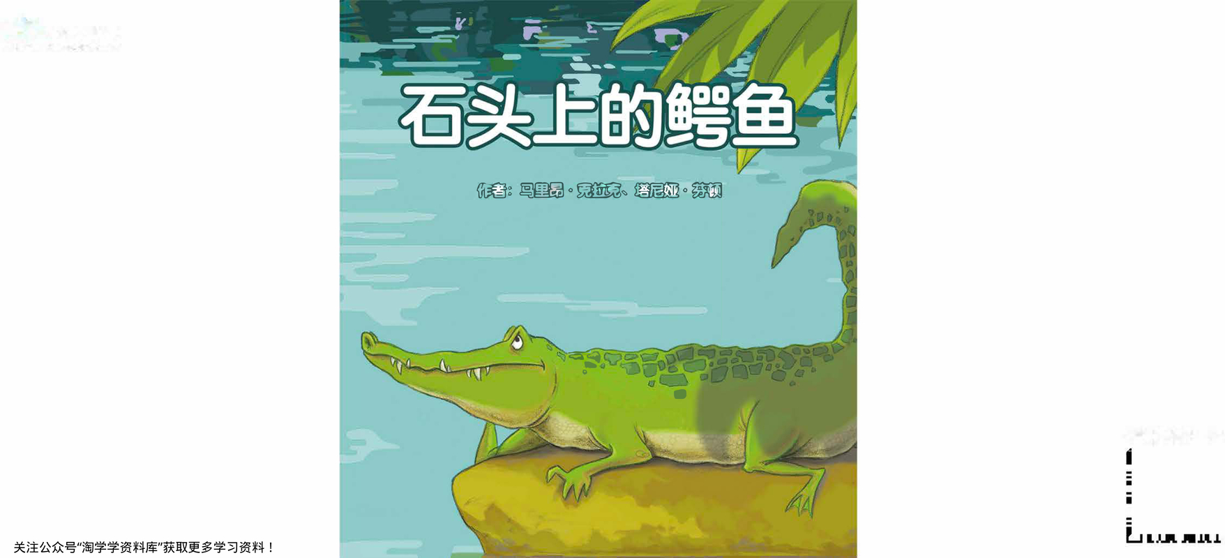 石头上的鳄鱼-美国