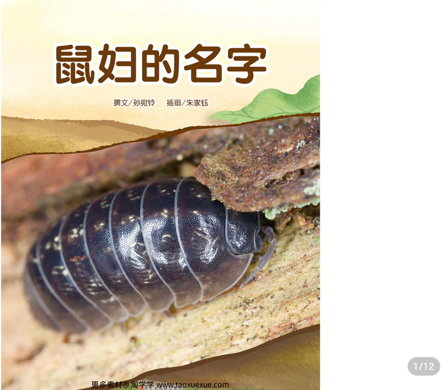 鼠妇的名字