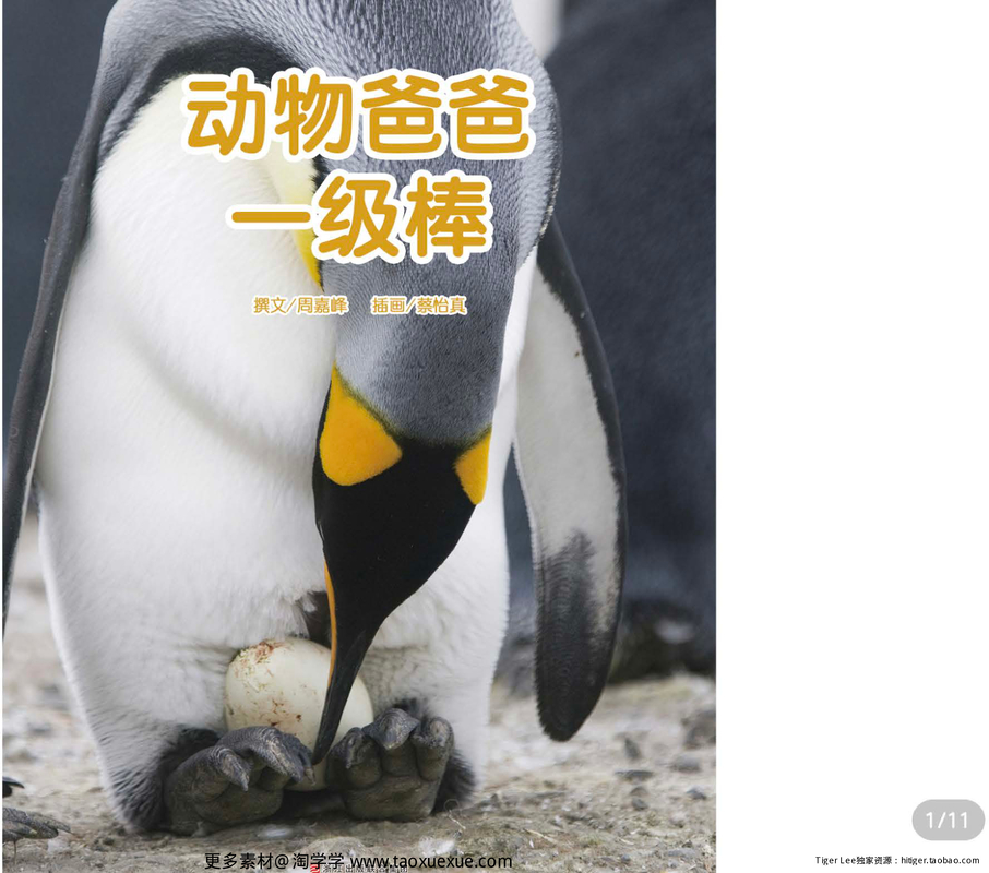 动物爸爸一级棒
