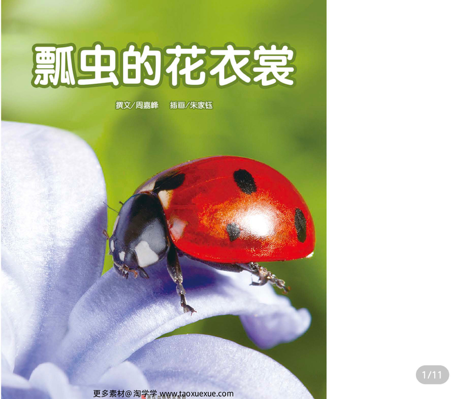 瓢虫的花衣裳