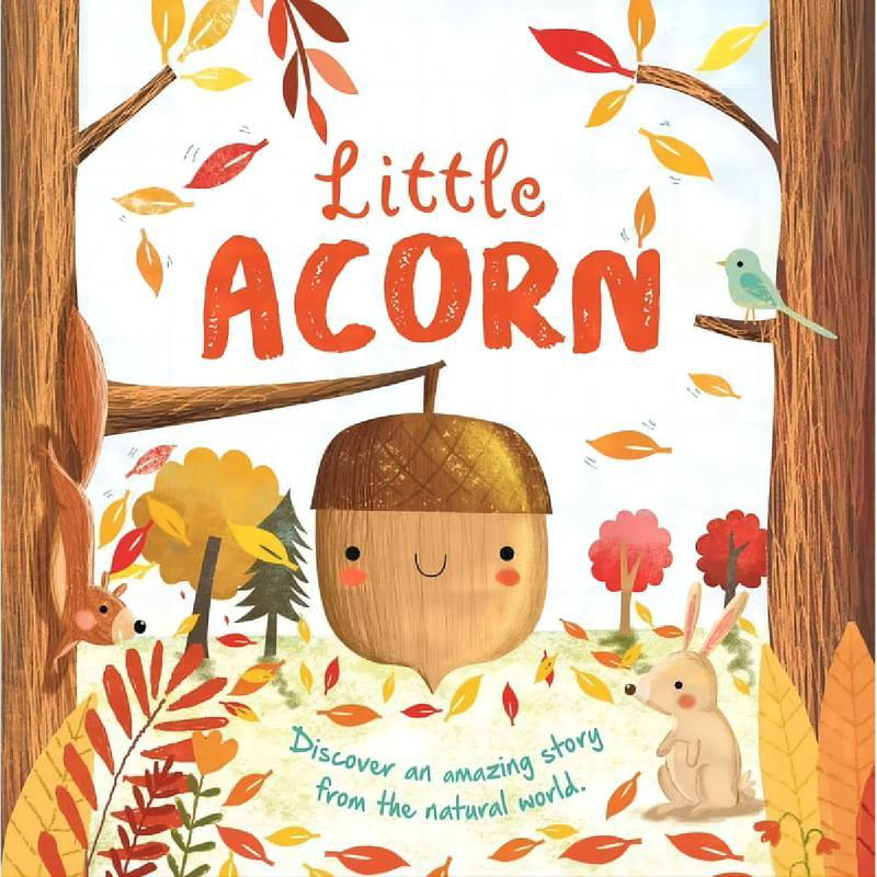 Little Acorn