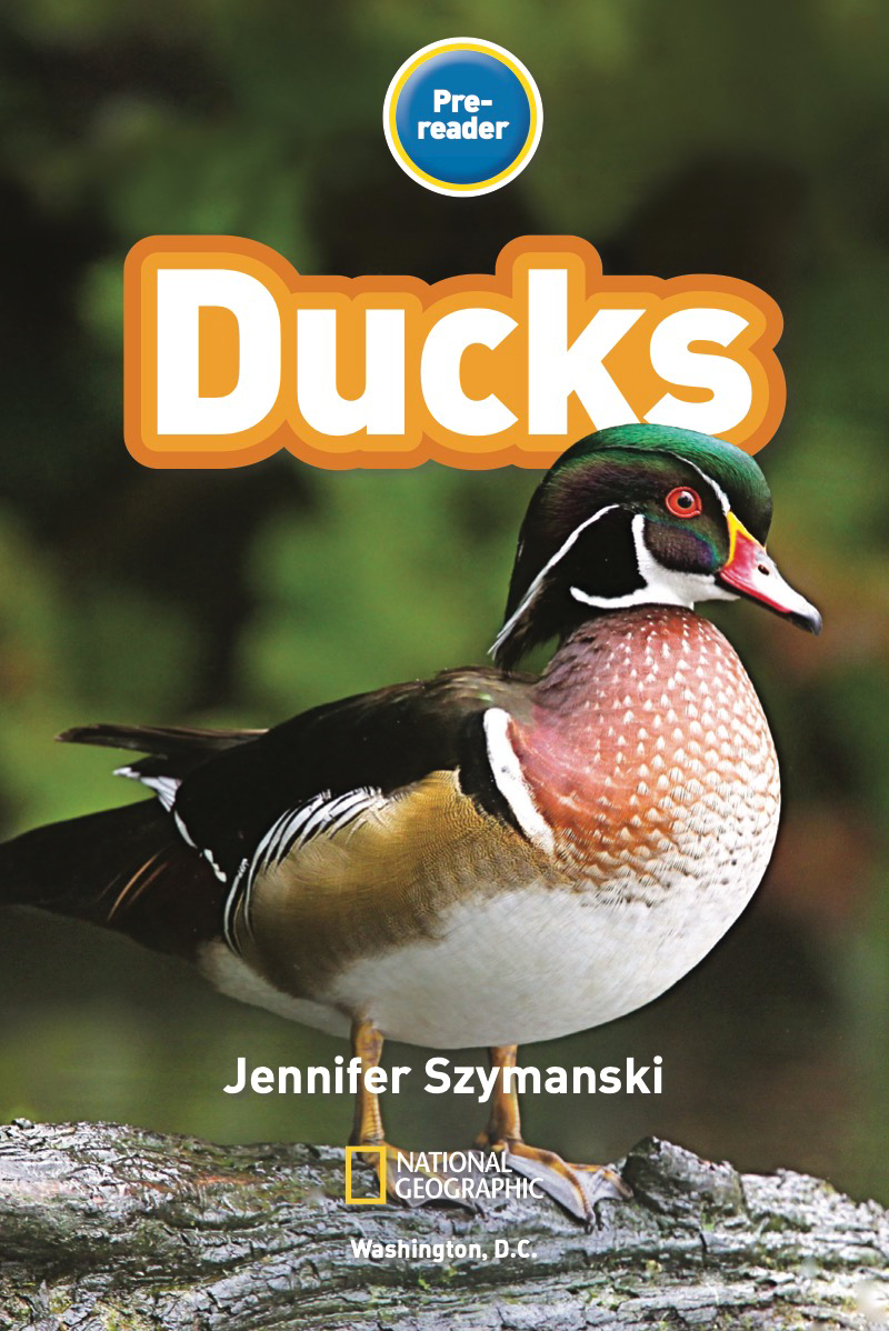 Duck
