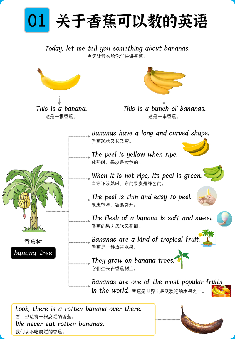 胖爸思维-2果蔬篇