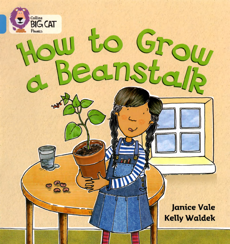 How to grow a beanstalk