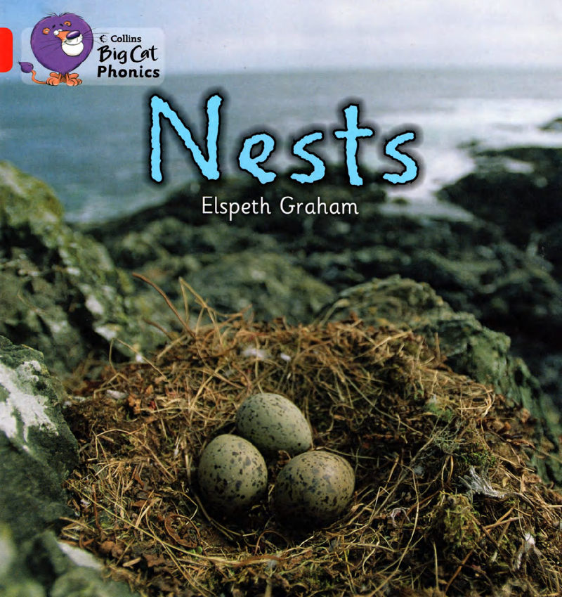 Nests
