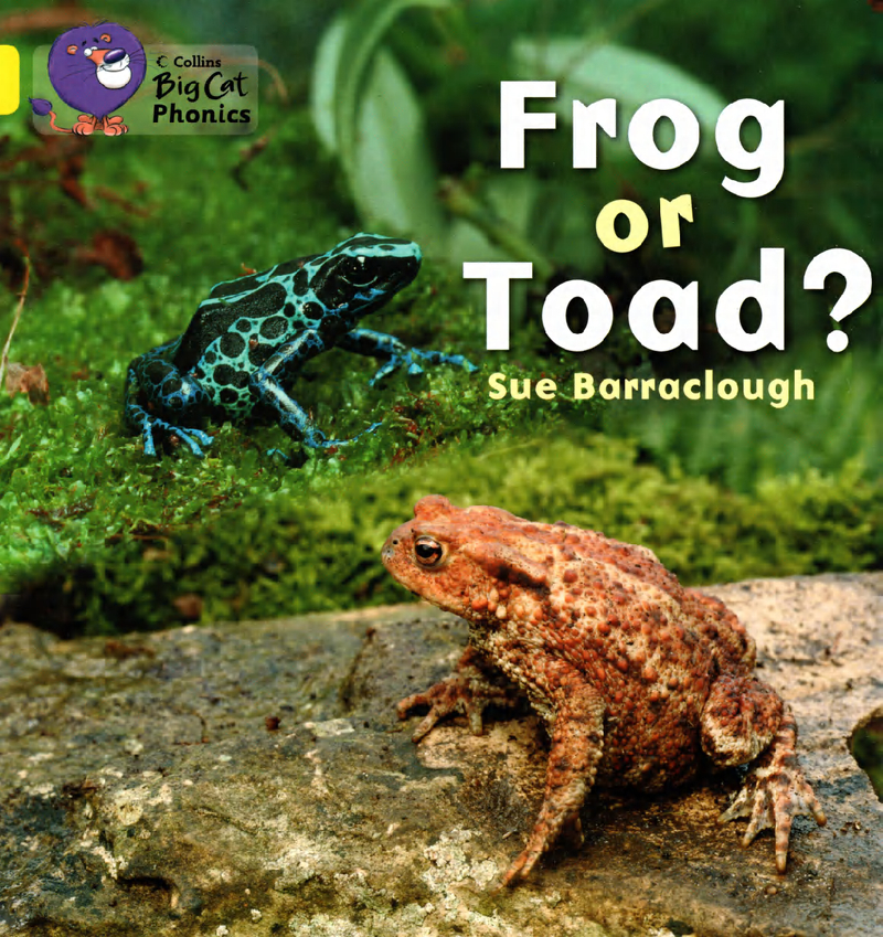 Frog or Toad?