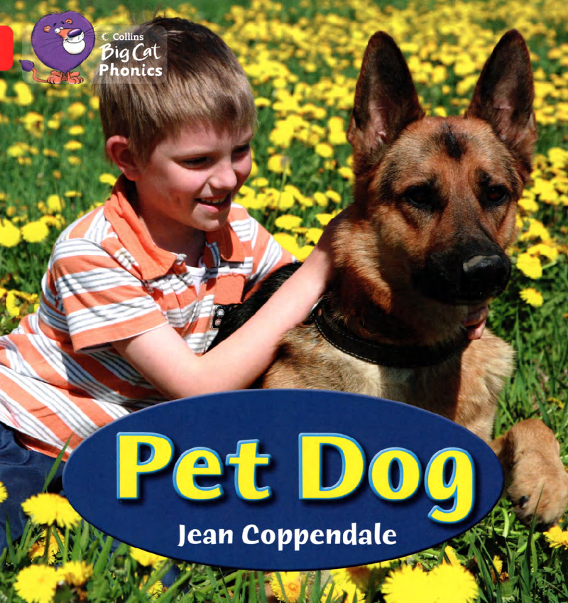 Pet Dog