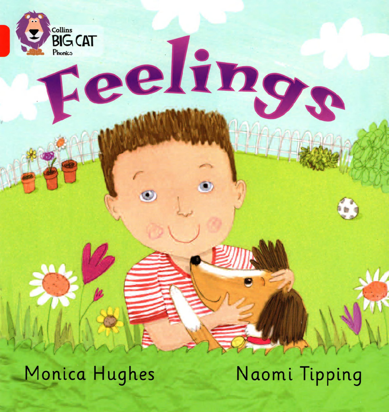 Feelings