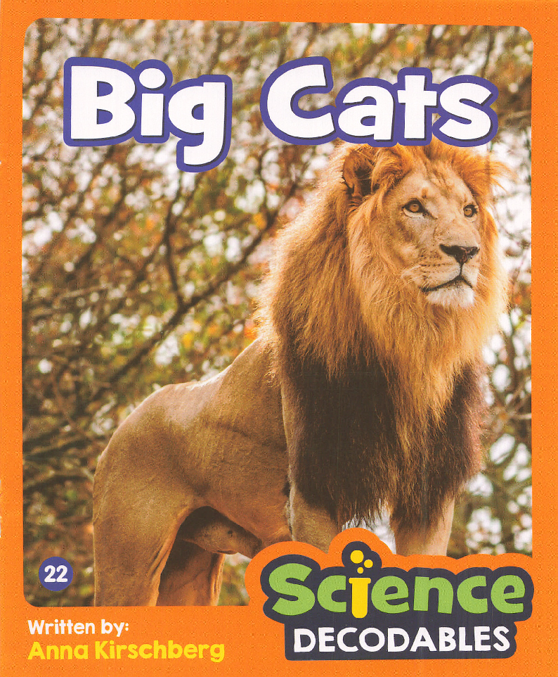 Big Cats